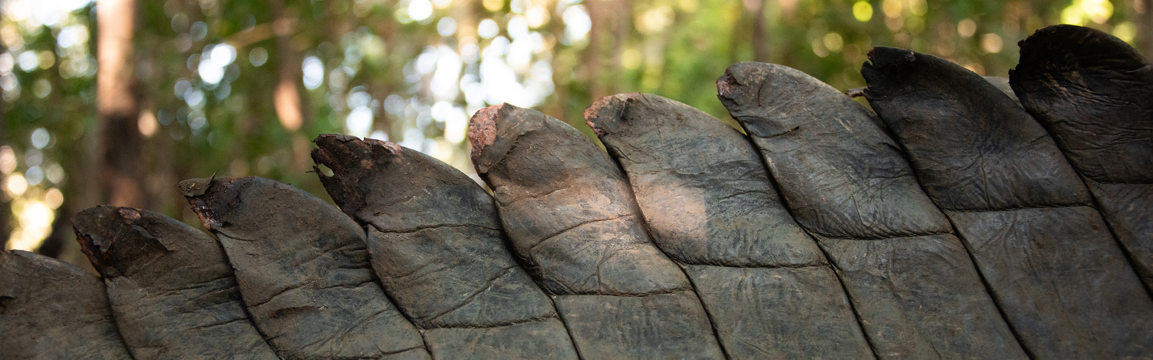 10021 - Croc Tracking - AZ Web Assets GREG NORMAN_2240 x 700