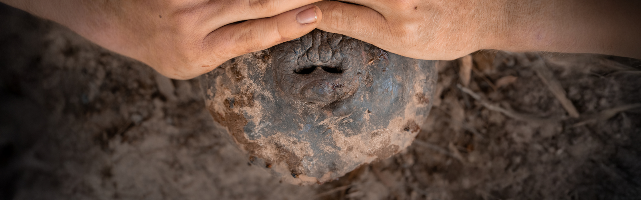 10127 - Croc Tracking - AZ Web Assets V1MAXIMUS _2240 x 700