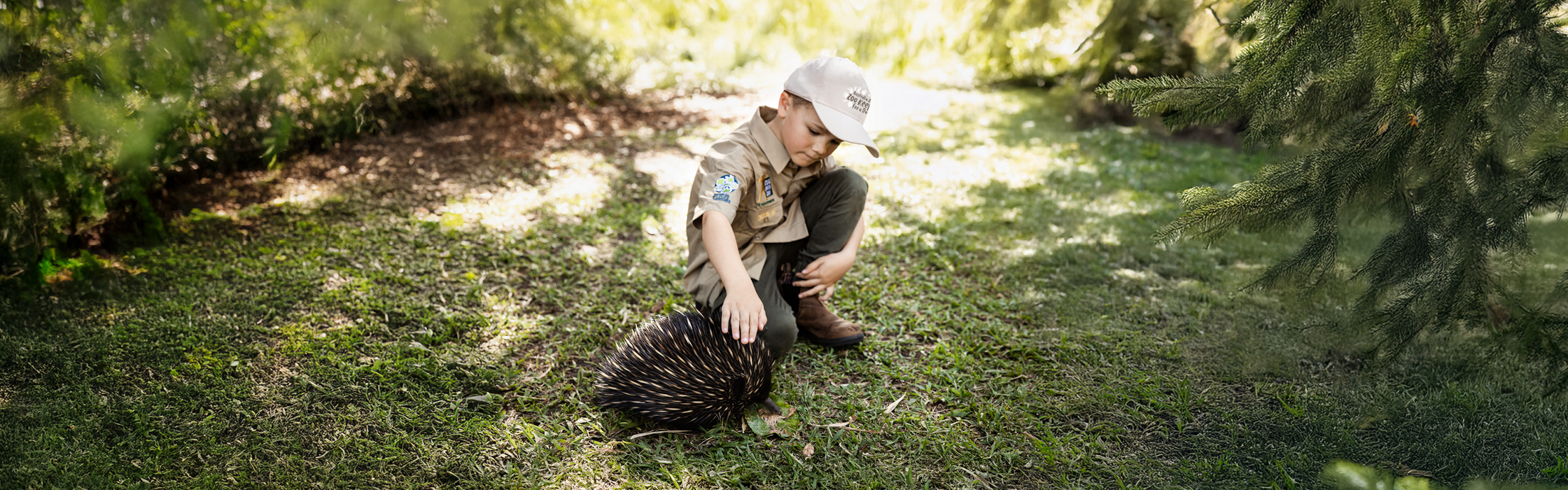 10160_AZ_Website_ZK4D_Image_Updates_2240 x 7002