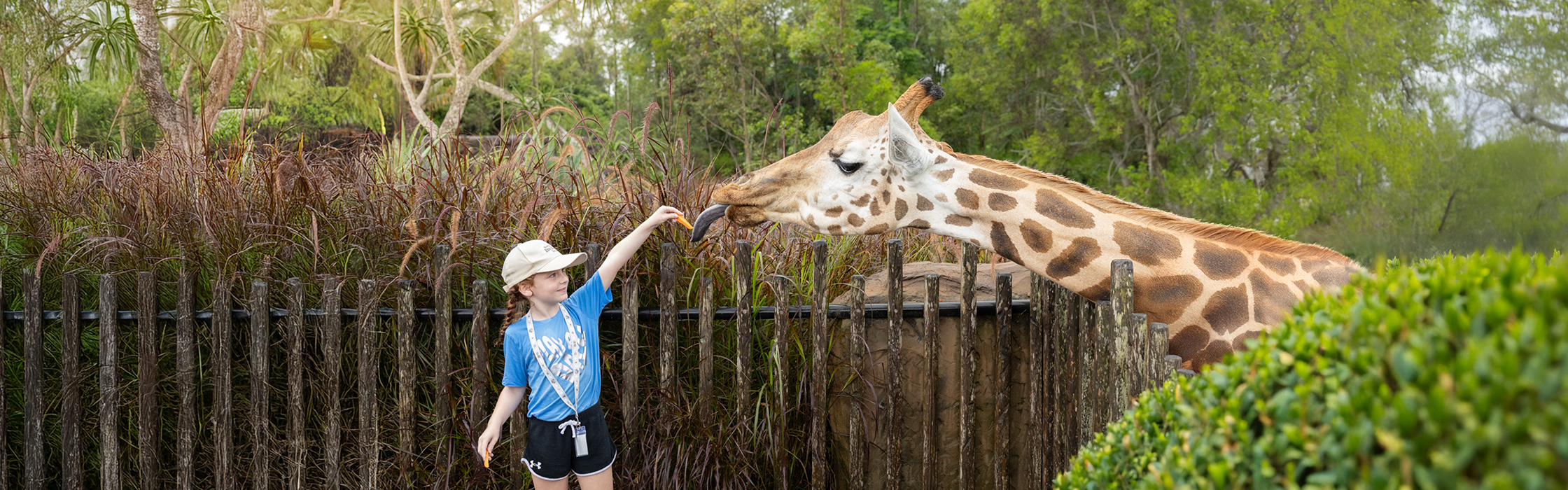 10160_AZ_Website_ZK4D_Image_Updates_2240 x 7003