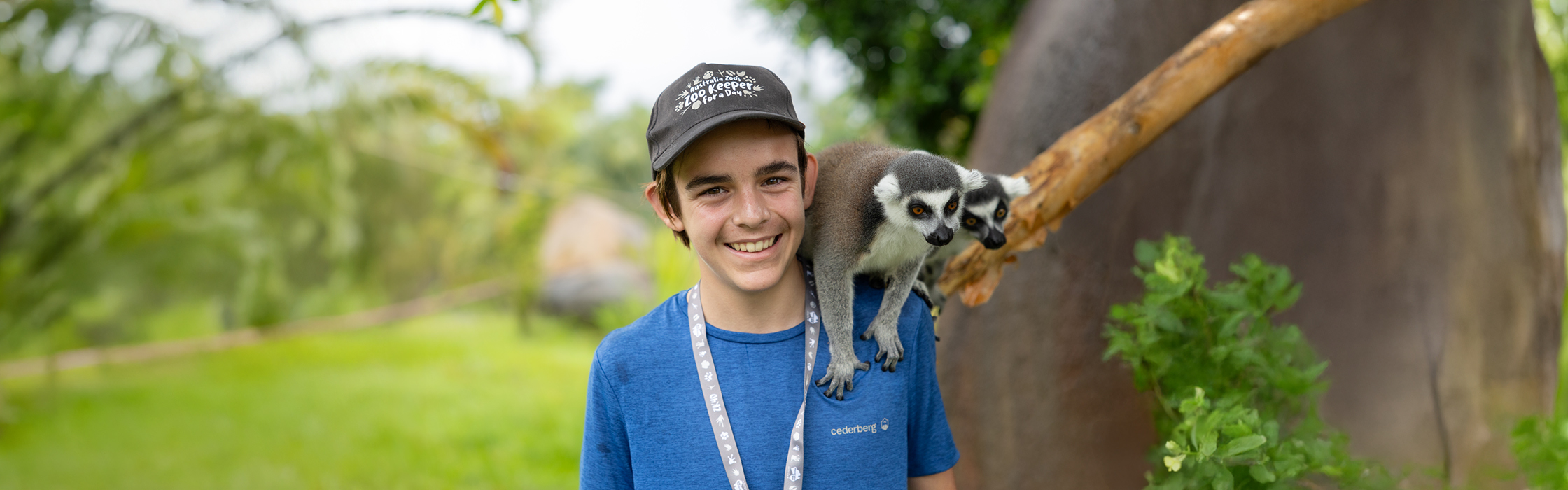 10160_AZ_Website_ZK4D_Image_Updates_2240 x 7004