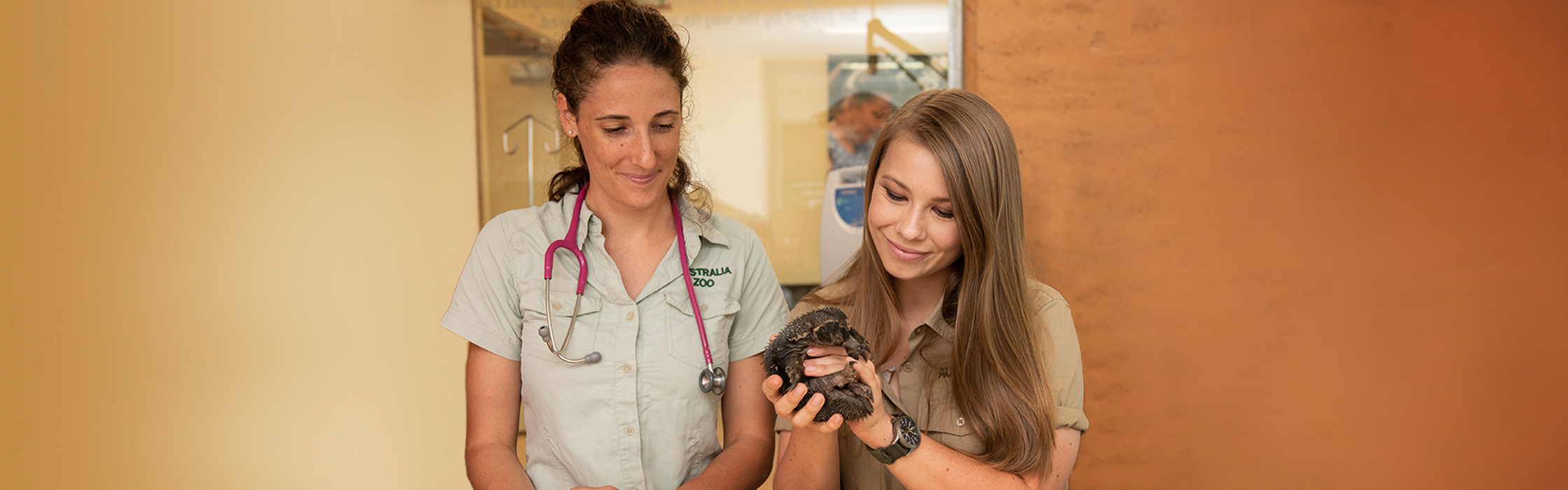 7219_AZWH_SNEAK_PEEK_LP_BANNER_V1AZ Desktop HP Image 2240x700