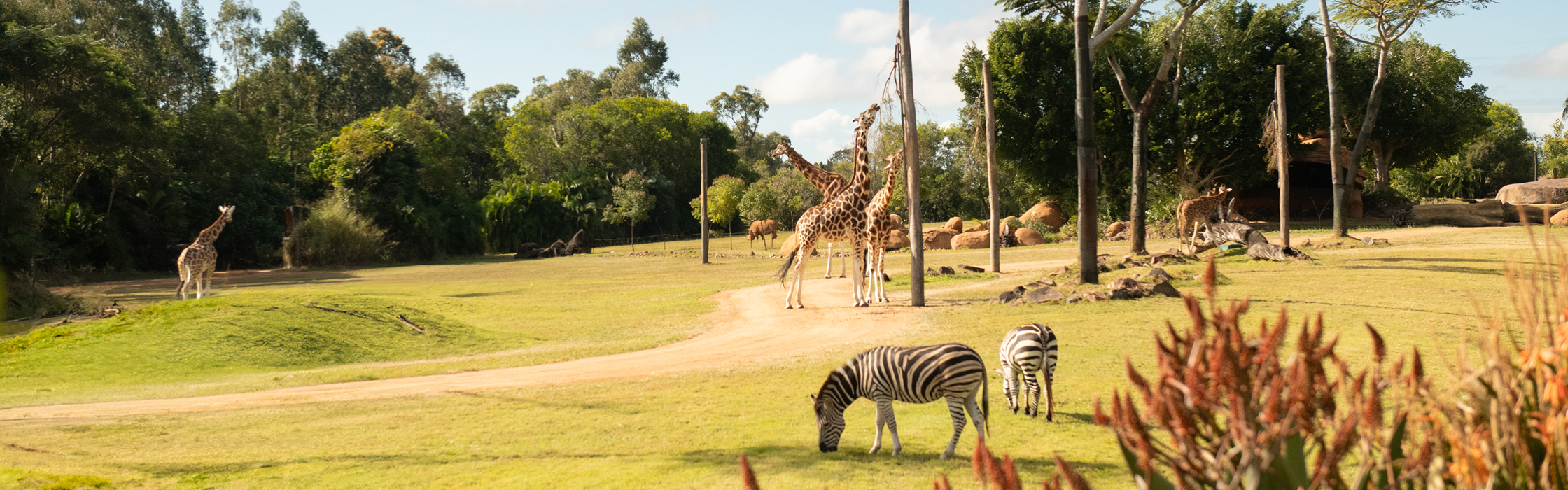 AZ_Website_Weddings_and_Function_2240 x 700_17