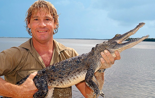 Steve Irwin The Crocodile Hunter